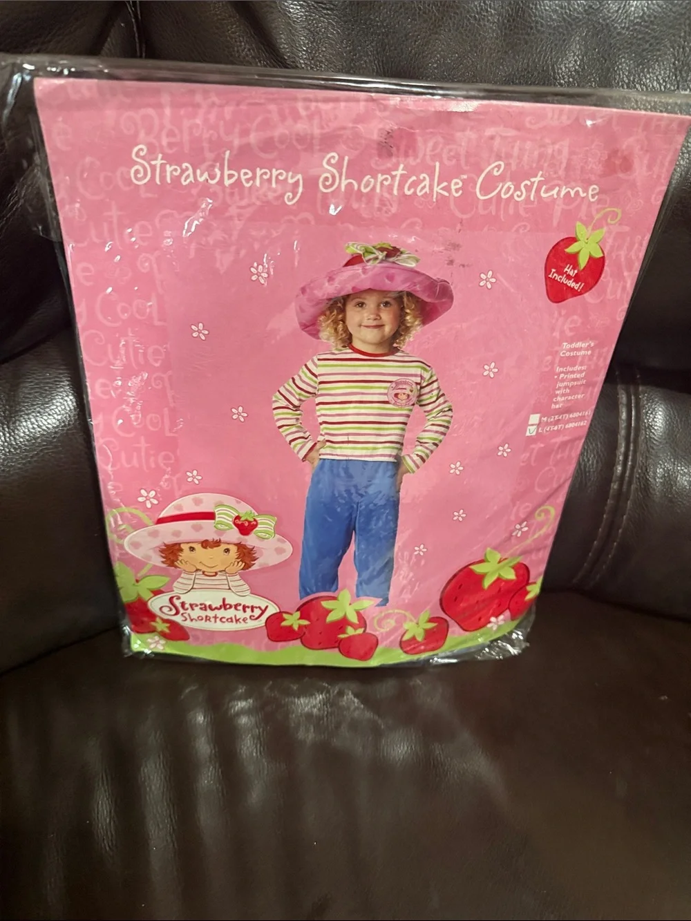 Vintage 2003 Strawberry Shortcake Children's (4T-6T) Halloween Costume NEW